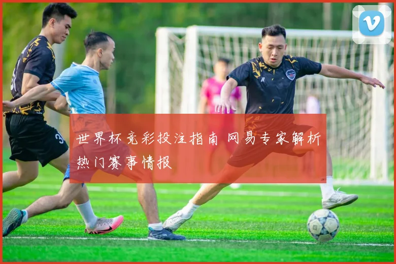 世界杯竞彩投注指南 网易专家解析热门赛事情报