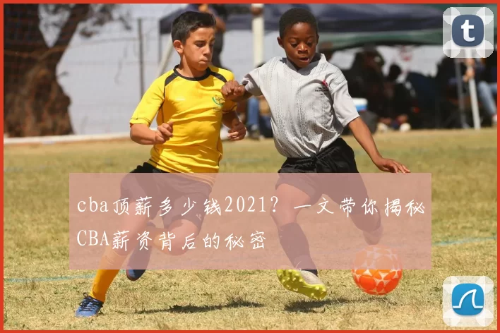 cba顶薪多少钱2021？一文带你揭秘CBA薪资背后的秘密