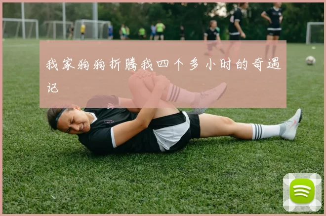 我家狗狗折腾我四个多小时的奇遇记