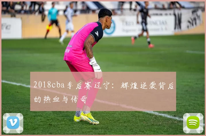 2018cba季后赛辽宁：辉煌逆袭背后的热血与传奇