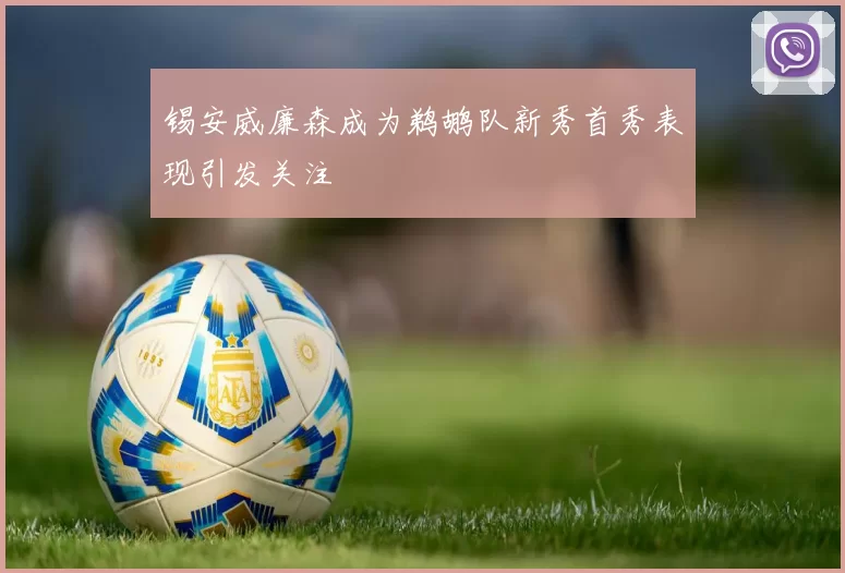 锡安威廉森成为鹈鹕队新秀首秀表现引发关注